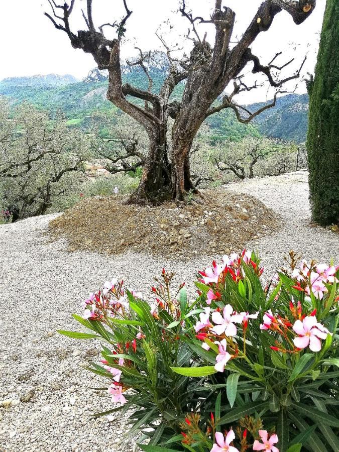 Le mas christine Buis-les-Baronnies Exterior foto